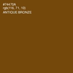 #74470A - Antique Bronze Color Image